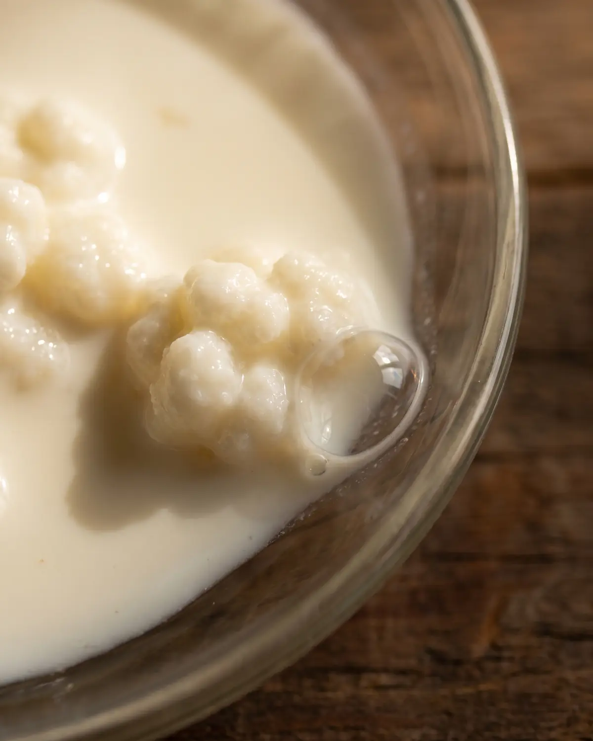 Macro de una burbuja junto a un gr&aacute;nulo de k&eacute;fir en leche cremosa, con el borde del cristal oscurecido.