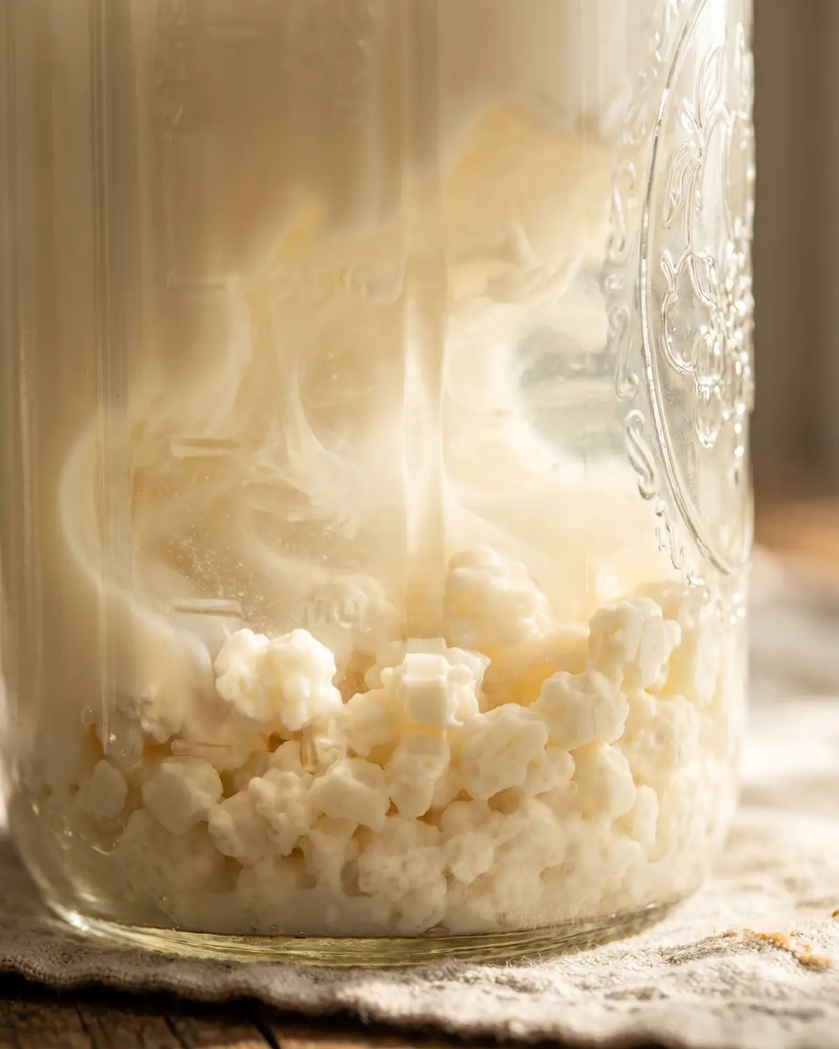 kefir probiotico dia Gránulos blanco crema de kéfir asentados en el fondo de un tarro con leche translúcida alrededor.