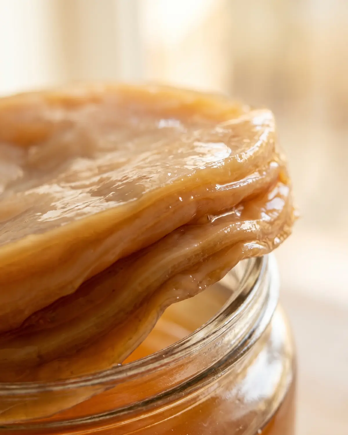 kombucha mercadona precio Detalle del borde de un SCOBY beige y marrón con capas gomosas cubiertas por té ámbar fermentado