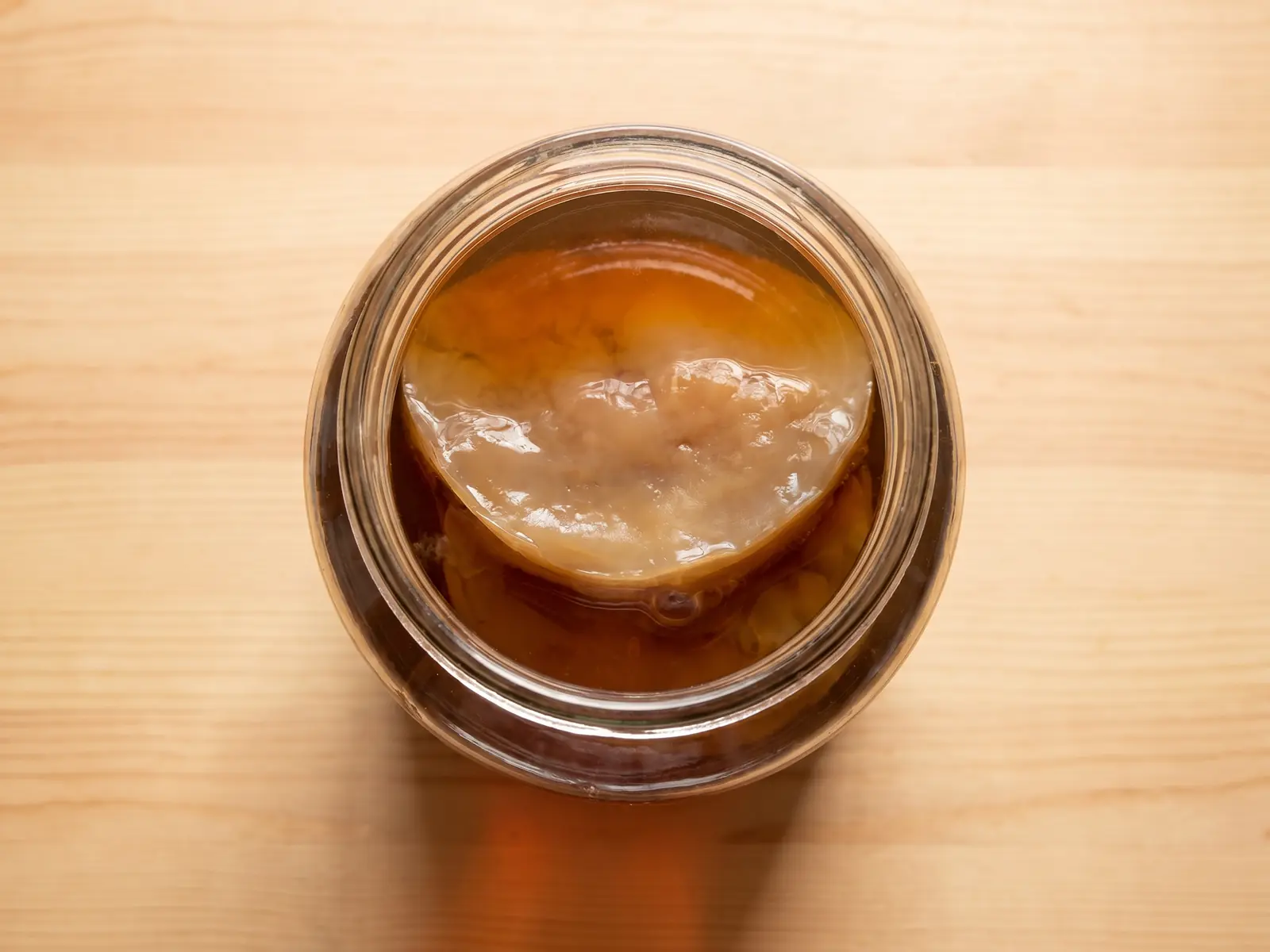 scoby kombucha Vista cenital de un tarro de kombucha con un SCOBY beige flotando sobre té oscuro en fermentación.