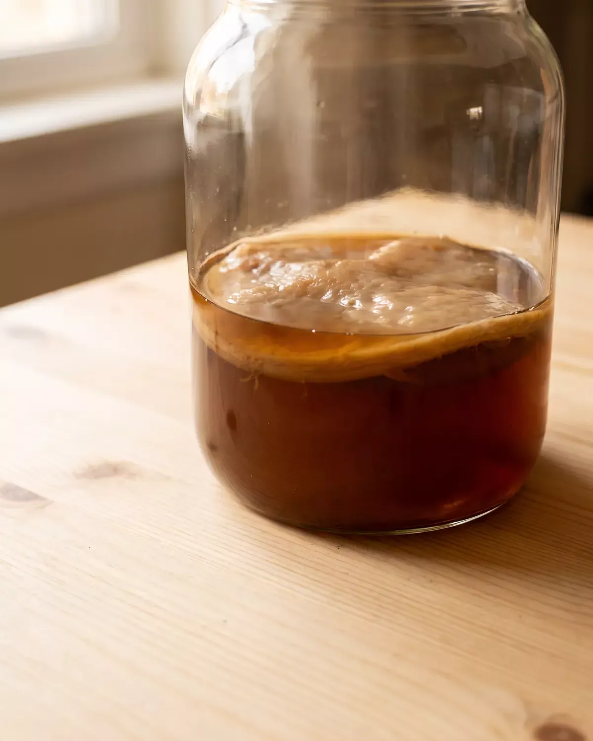kéfir de leche agua kombucha diferencias Tarro de kombucha visto desde abajo con el SCOBY ámbar destacado como una luna en el líquido